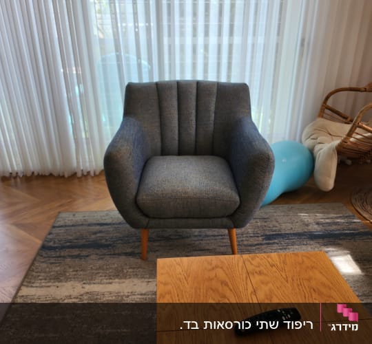 כורסה אפורה על שטיח עם שולחן עץ ושלט רחוק